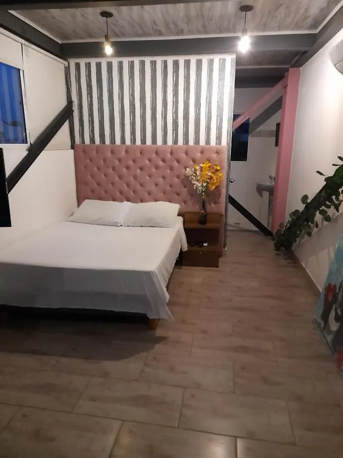 Apartaestudio Terraza Romantico #14 Cali 0*,